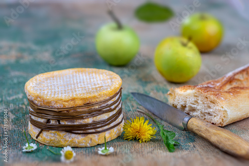 Livarot Cheese traditional Cheese from Normandy France. Colonel, washed photo