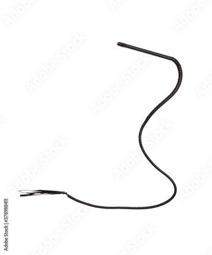 Vászonkép long leather whip isolated on white background