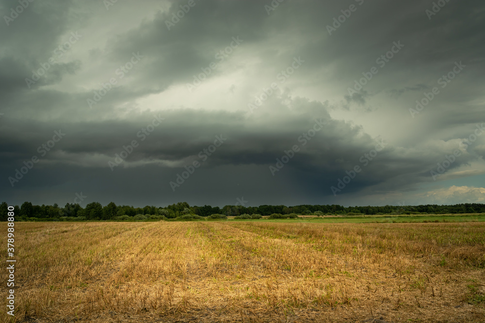 Dark stormy cloud over the field, summer day