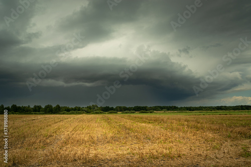 Dark stormy cloud over the field, summer day