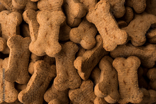 Many Bone shaped dog biscuit, macro close up, selective focus