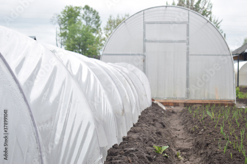 Greenhouse made of film and polycarbonate in the garden. Growing in protected ground