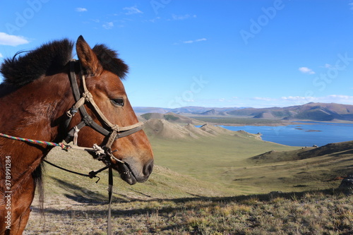 Terkhiin Tsaagan Nuur, Great White Lake, Mongolei