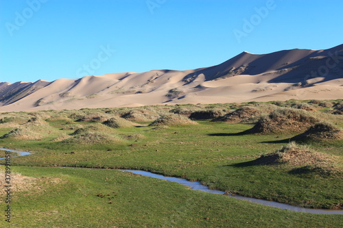 Sandd  ne in Gobi W  ste  Mongolei