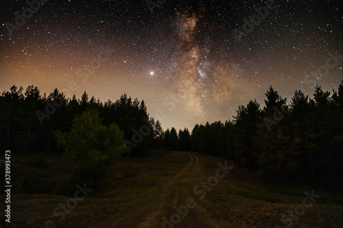 Night landscape , beautiful starry night in the forest and bright milky way galaxy. Beauty in nature.