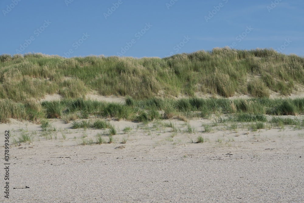 Dünen am Strand der Nordseeinsel Langeoog im Sommer Dünen am Strand der Nordseeinsel Langeoog im Sommer