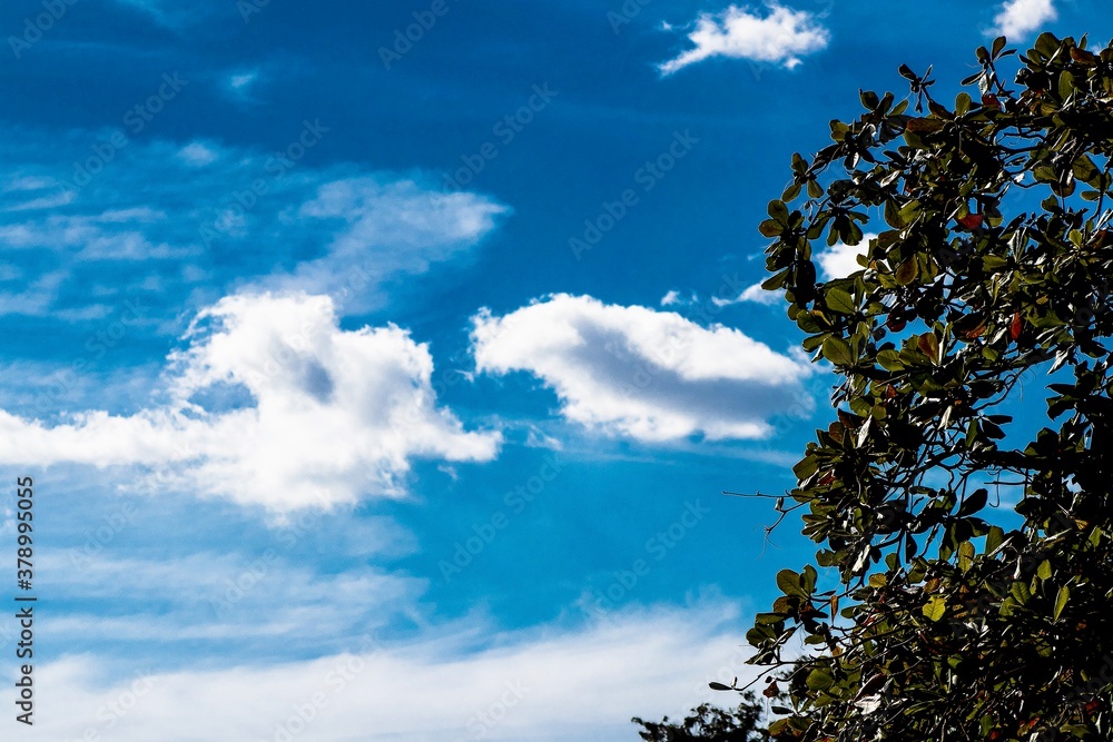 Obraz premium sky and clouds