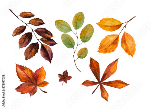 Warm cozy autumn watercolor clipart isolated on white background. coffee tea autumn leaves mulled wine apple pumpkin book candle