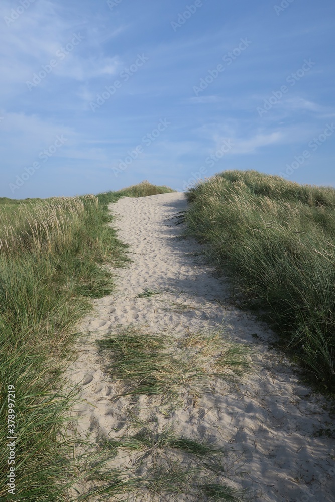 Dünenweg auf der Nordseeinsel Langeoog im Nationalpark Niedersächsisches Wattenmeer 