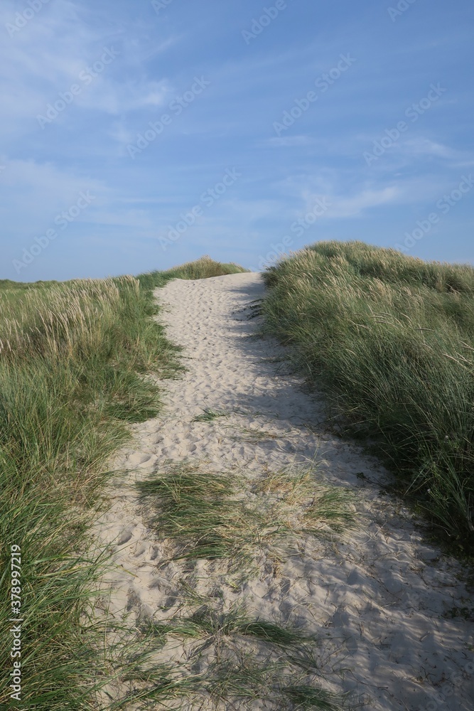 Dünenweg auf der Nordseeinsel Langeoog im Nationalpark Niedersächsisches Wattenmeer Dünenweg auf der Nordseeinsel Langeoog im Nationalpark Niedersächsisches Wattenmeer