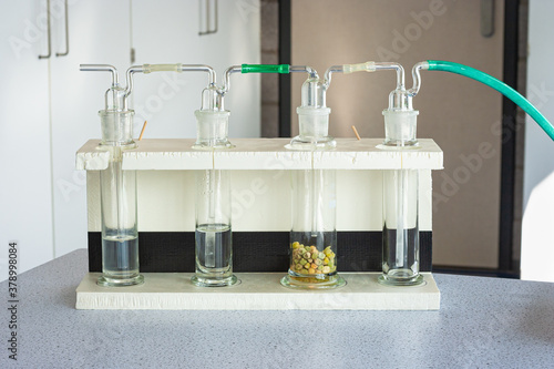 Experimental setup to demonstrate dissimilation in germinating peas. Scientific experiment, used in biology class. photo