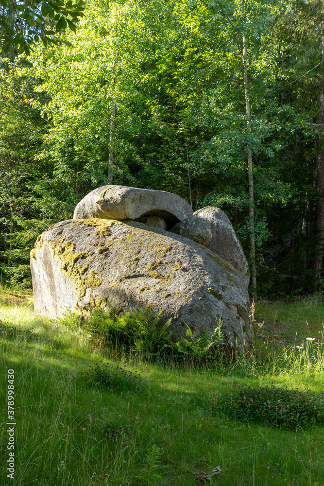 stone in the forest stone in the forest