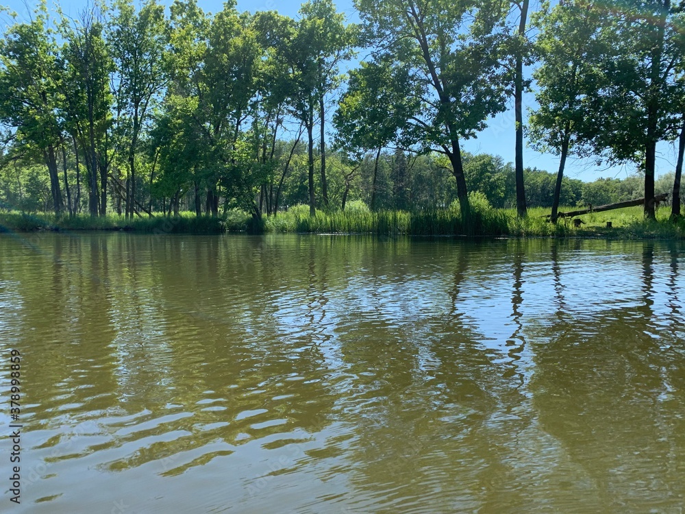 lake in the park