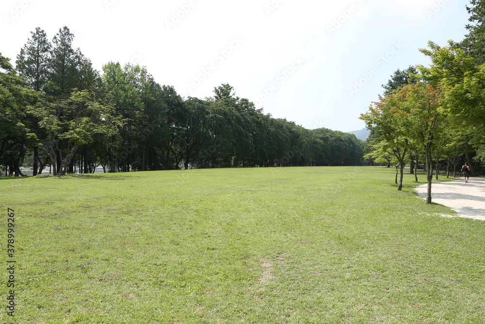 golf course on a day