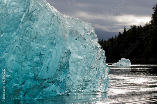 Iceberg in Holkham Bay, Alaska photo