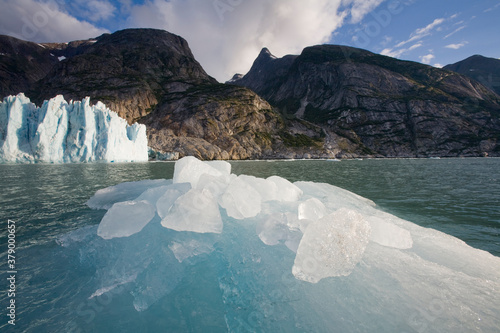 Icebergs at Dawes Glacier, Alaska photo