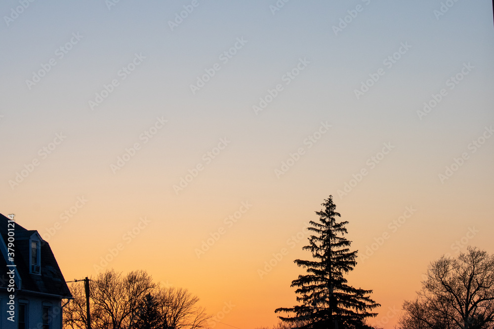 A Dramatic Orange and Blue Sky With Silhouette Trees at the Bottom of the Frame