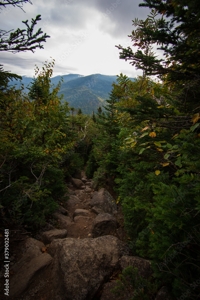 Fototapeta premium Mount Isolation hiking trail in the White Mountains.