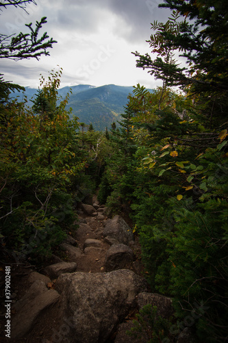 Mount Isolation hiking trail in the White Mountains.