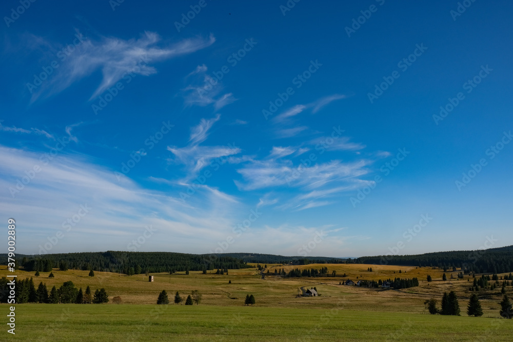 Fototapeta premium autumn landscape with blue sky
