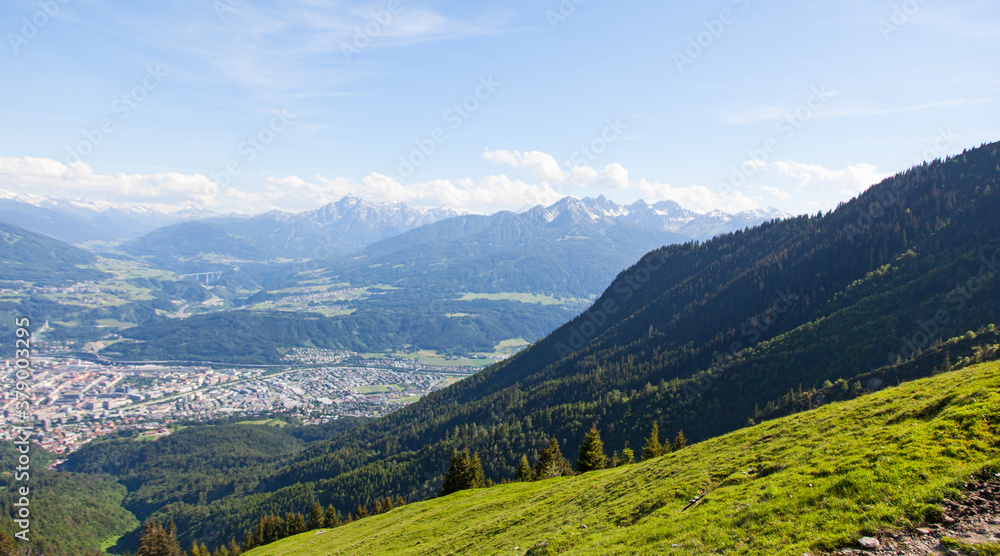 Landschaft in den Alpen, Nadelwald