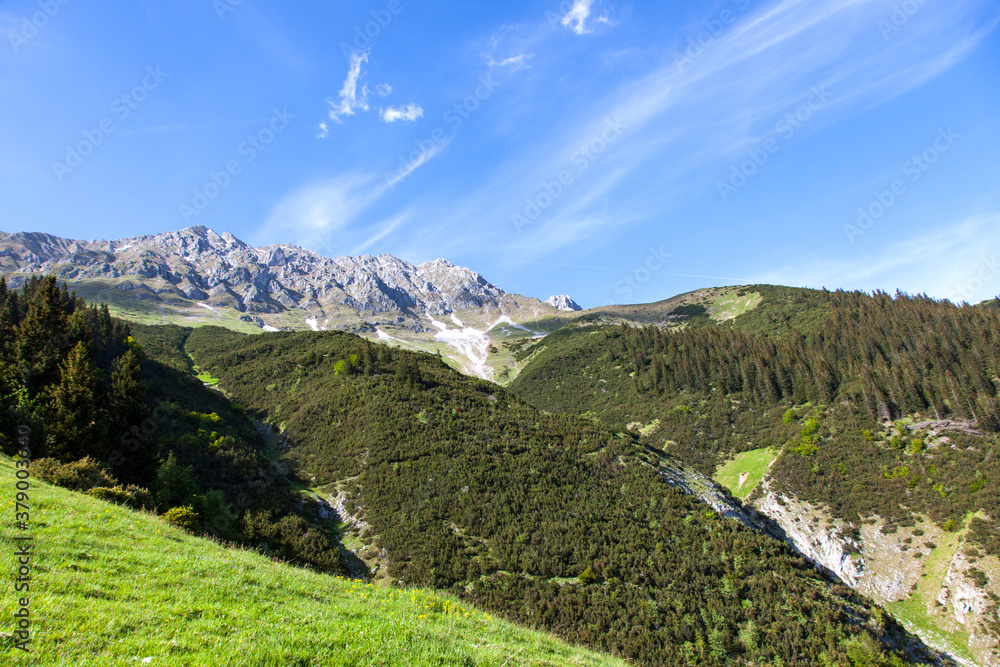 Berge in Tirol, Baumgrenze