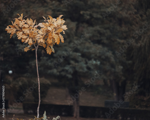 The beauty of the nature.