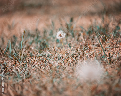 And he's the one risking his life to get Whoville, which, by the way, is a speck on a clover, to safety!