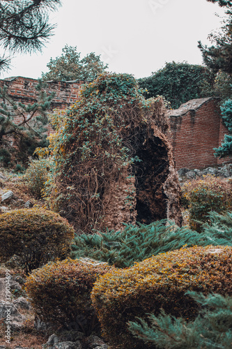 So we met at the same place, a tree with a hollow.