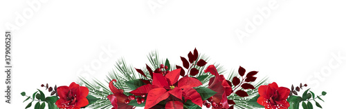 Emerald christmas greenery, red poinsettia, amaryllis, spruce, fir vector design banner