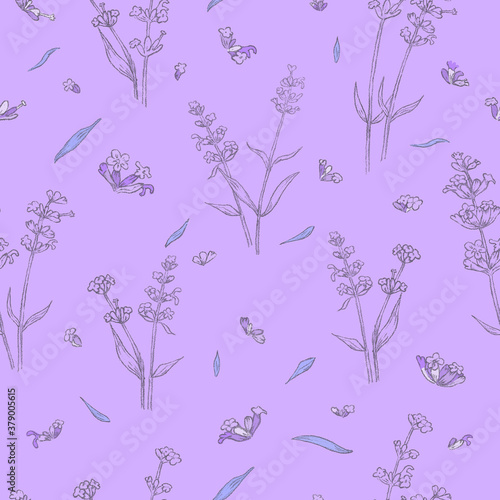 Seamless Pattern with Different Parts of Lavender photo