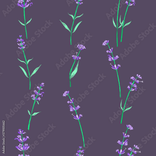 Seamless Pattern with Colored Parts of Lavender photo