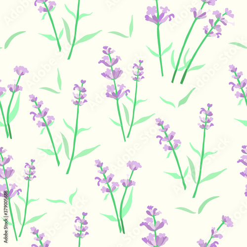 Seamless Pattern with Colored Parts of Lavender photo