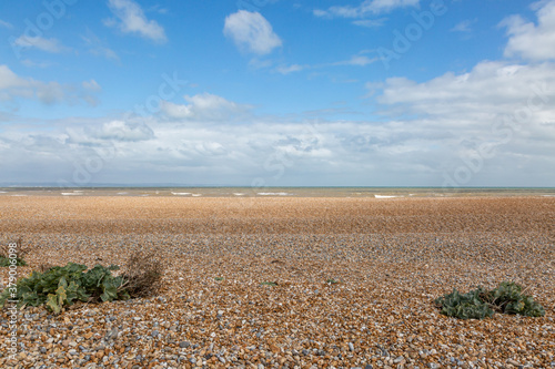 The Beach at Dungeness photo