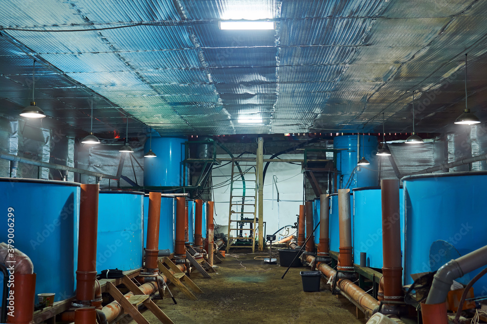 interior of a with tanks for keeping fish in a fish hatchery