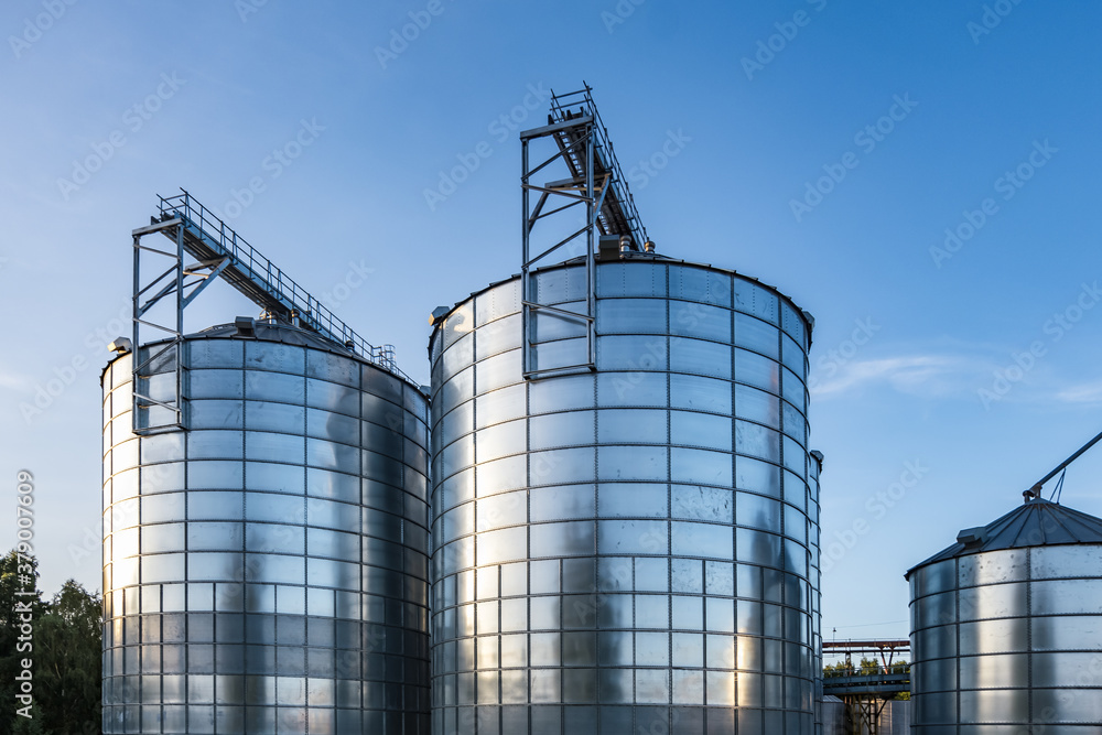 Modern Granary elevator with silver silos on agro-processing and manufacturing plant for processing drying cleaning and storage of agricultural products, flour, cereals and grain.