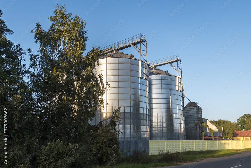 Modern Granary elevator with silver silos on agro-processing and manufacturing plant for processing drying cleaning and storage of agricultural products, flour, cereals and grain.