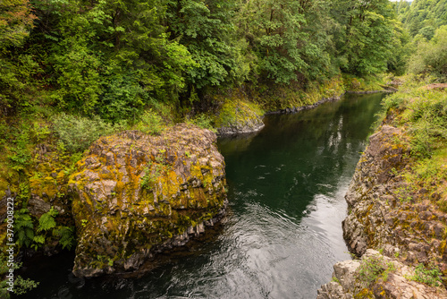 The Wilson River, in the Tillamook State Forest, Oregon