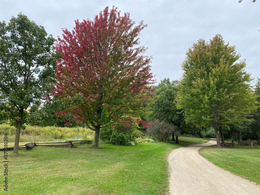 Obraz premium Scenic Minnesota Landscape in Early Autumn