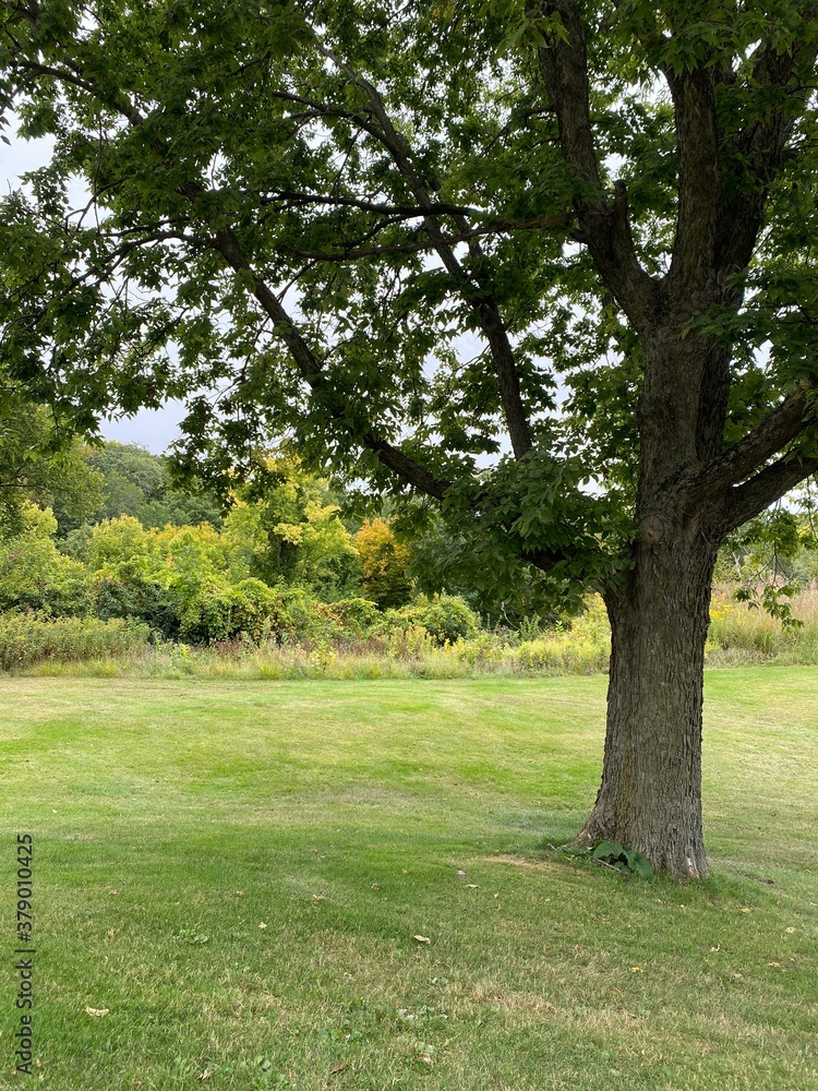 Scenic Minnesota Landscape in Early Autumn