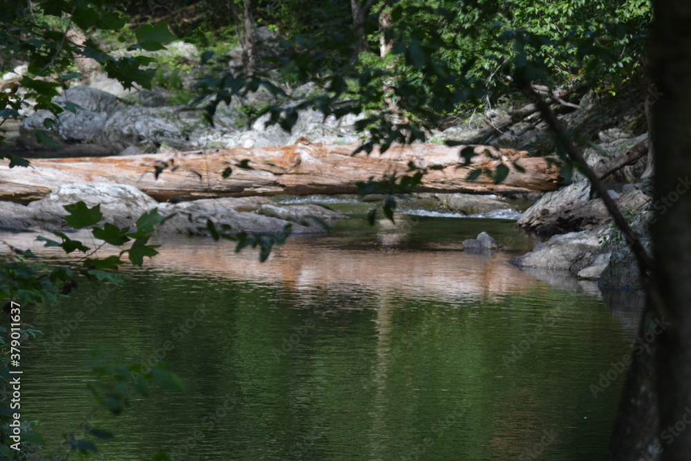 Nature's Beauty, Running Stream, Beautiful walkway Nature's Beauty, Running Stream, Beautiful walkway