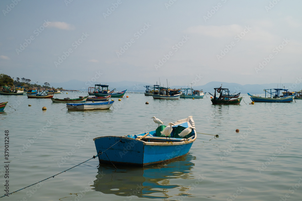 fishing boats in the harbor with birds 