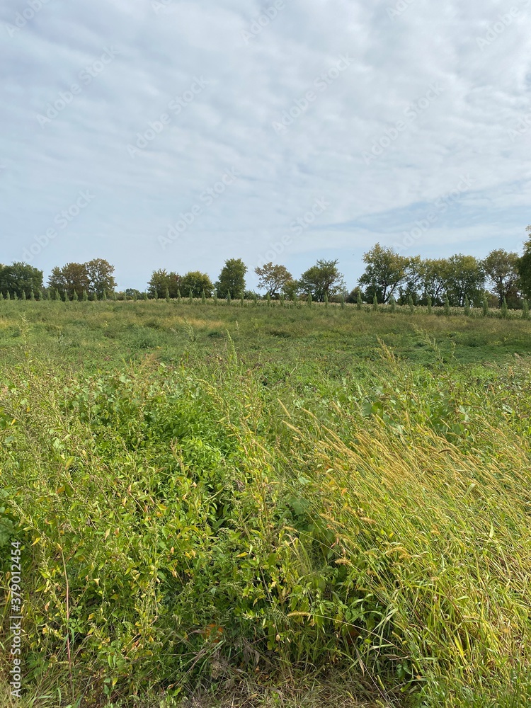 Scenic Minnesota Landscape in Early Autumn Scenic Minnesota Landscape in Early Autumn