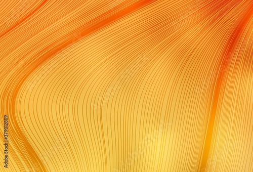 Light Yellow vector abstract blurred layout.