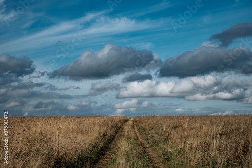 Road to horizon in field with blue sky and clouds on background