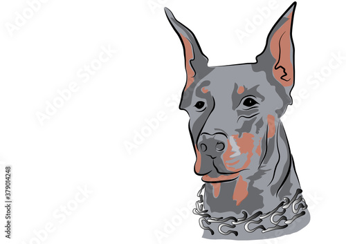 head of a dog