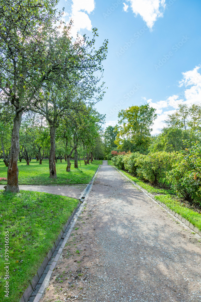 A path for pedestrians to walk in a modern green city park in the summer daytime