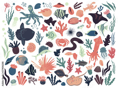 Vector set with sea life elements. Hand drawn design with different types of fish, corals, seaweed.  Doodle cartoon collection of marine life.