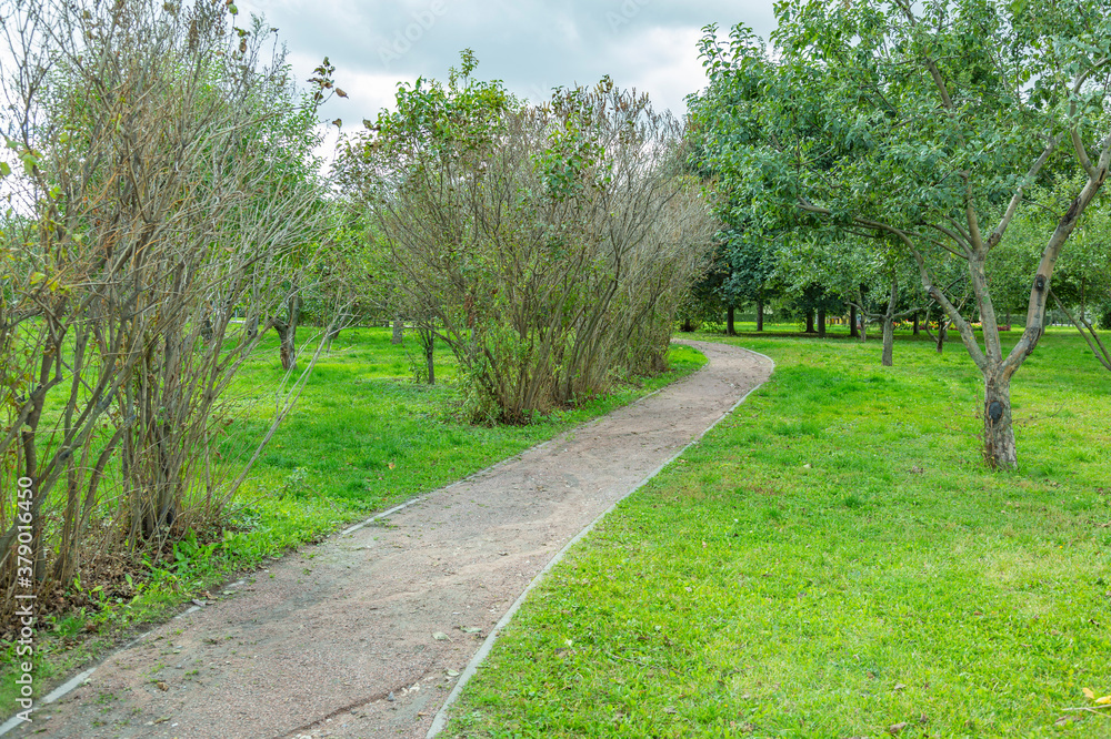A path for pedestrians to walk in a modern green city park in the summer daytime A path for pedestrians to walk in a modern green city park in the summer daytime
