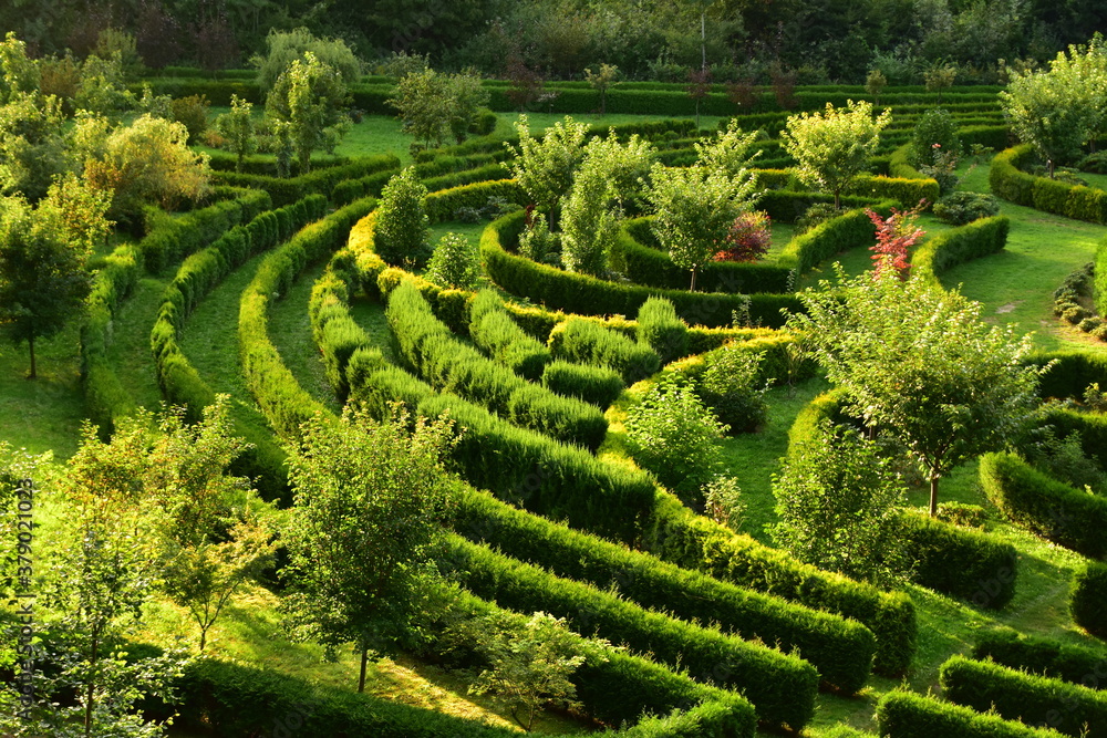 Naklejka premium Arboretum Bramy Morawskiej – ogród botaniczny usytuowany we wschodniej części Raciborza obejmujący całym swoim zasięgiem las komunalny Obora. komunalny Obora krzewy lato 